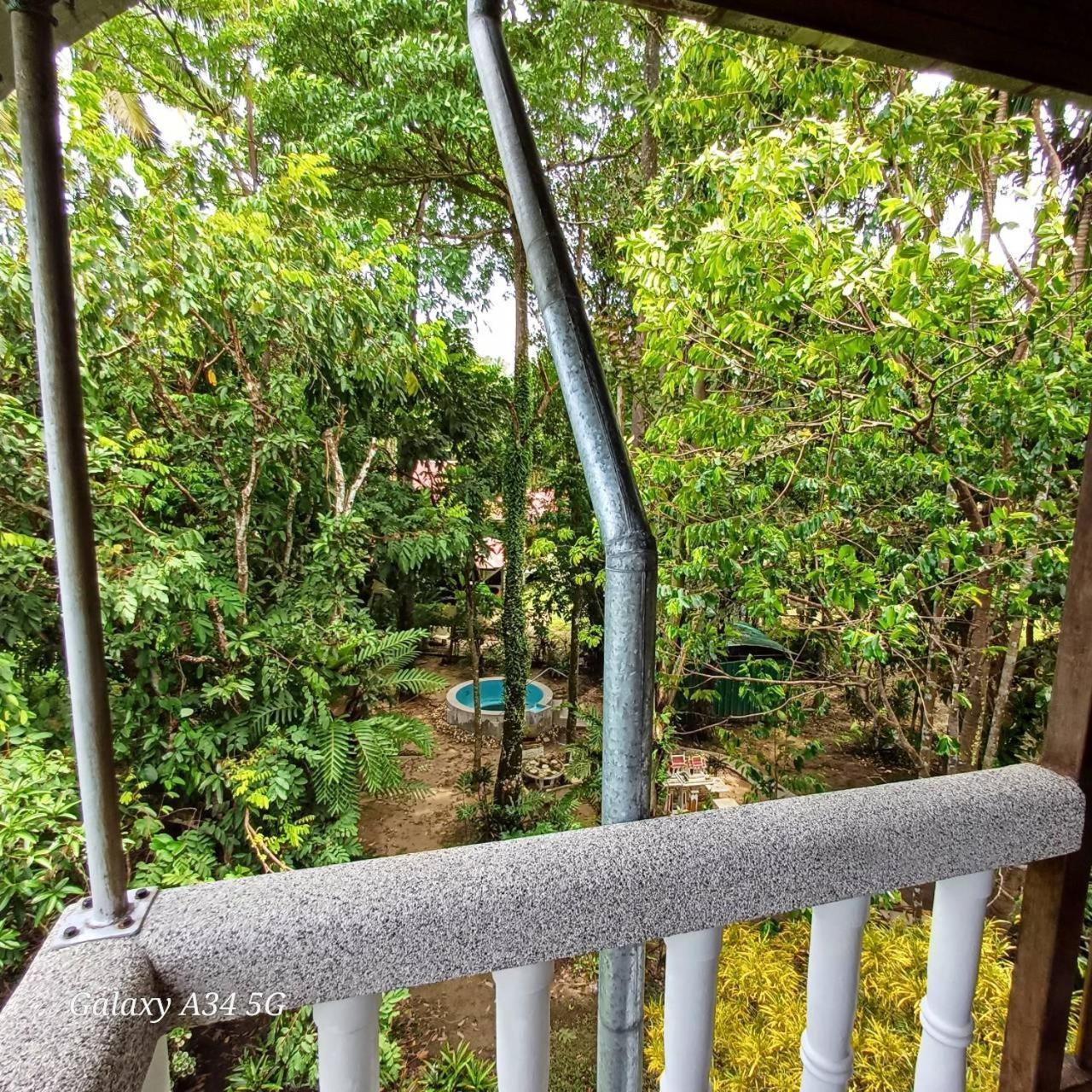 View קאו לק